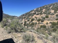 IMG_8304.jpeg