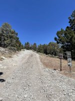 IMG_8311.jpeg